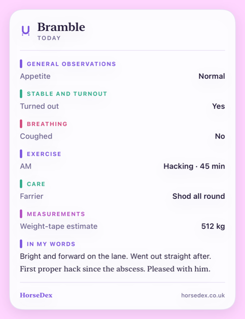 A diary page headed with a horse's name and the word Today, listing what was recorded in colour-coded sections — general observations, stable and turnout, breathing, exercise, care and measurements — then the owner's own note, with HorseDex and horsedex.co.uk along the bottom.