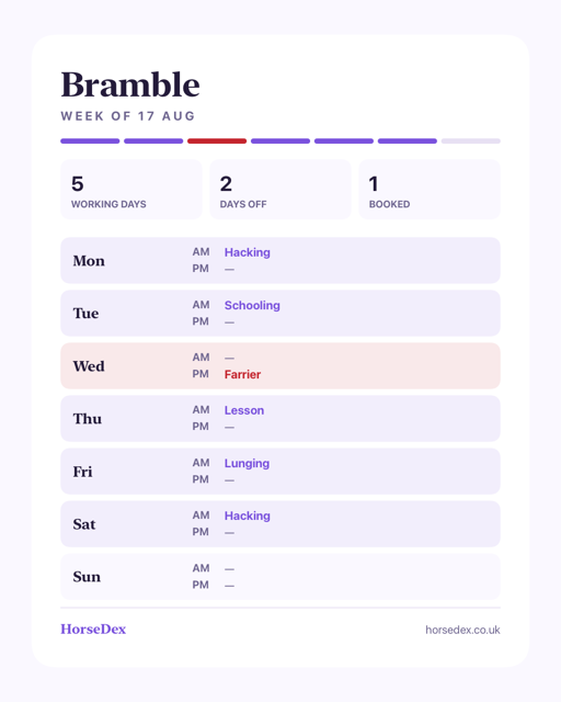 A shareable picture of a week's plan for a horse called Bramble: a row of seven coloured bars, three tiles reading five working days, two days off and one booked, and each day tinted in its own colour with the farrier on Wednesday in red.